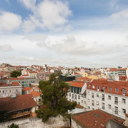 Bombarda 55 * Lisboa